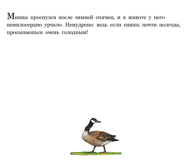 Медвежье чудо, Вольф Эрльбрух