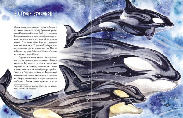 Маленькая косатка. Михаил Нагайлик