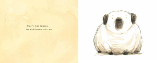 Олли и Огастус. Габриэль Эванс