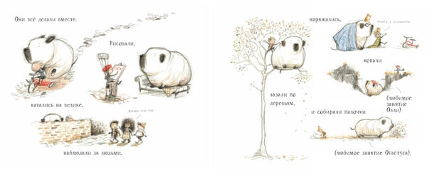 Олли и Огастус. Габриэль Эванс