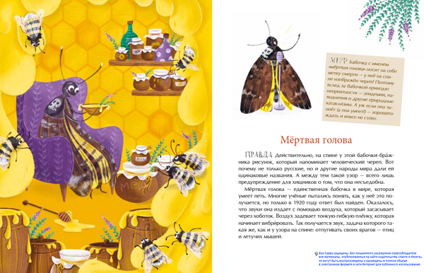 Страшный жук? Добрый жук!