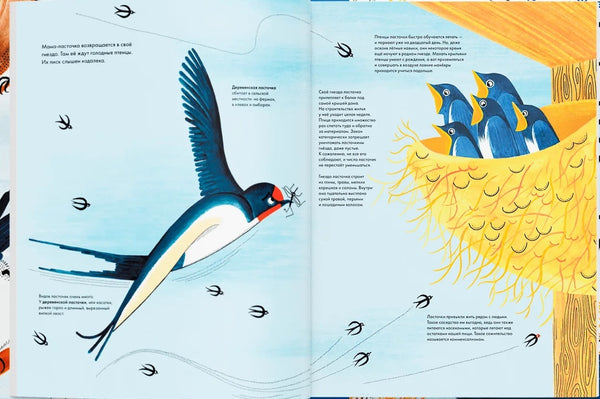 Тысяча и одна птица