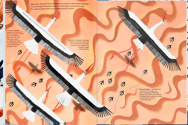 Тысяча и одна птица