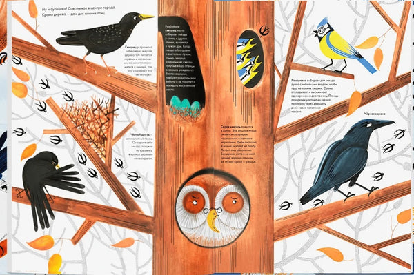 Тысяча и одна птица