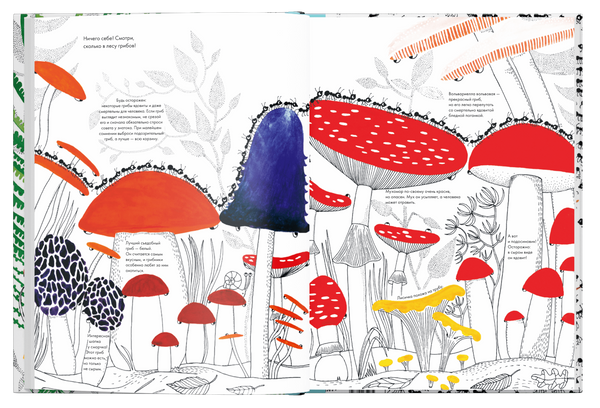 Тысяча и один муравей