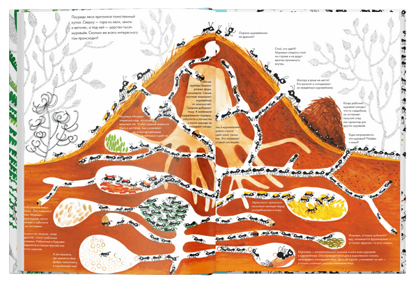 Тысяча и один муравей