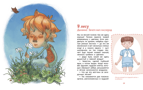 Как устроен человек. Детская энциклопедия (мягкая обложка). Елена Качур