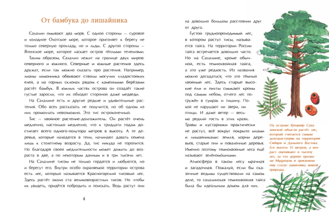 Сахалин. Самый большой остров в России. Анастасия Кудряшова