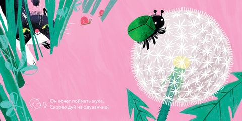 Эй, Разбойник! Маша Вахрушева