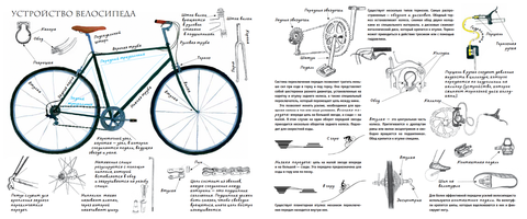 История велосипеда. Быстрые ноги. Владимир Фомин