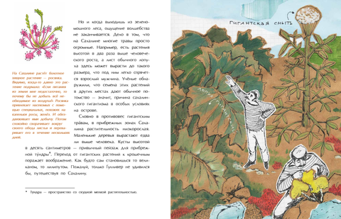 Сахалин. Самый большой остров в России. Анастасия Кудряшова