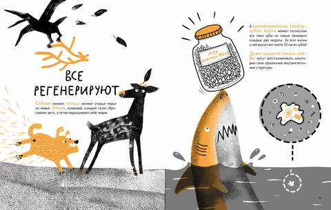 Микросупергерои. Самые-самые самовосстанавливающиеся. Ольга Посух