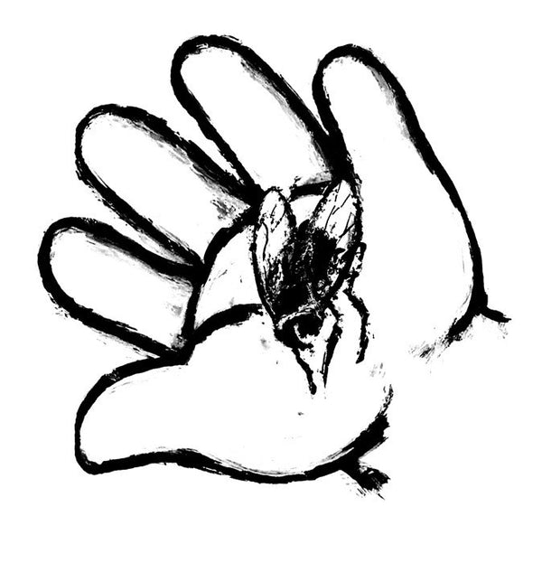 Взгляд кролика. Хайтани Кэндзиро