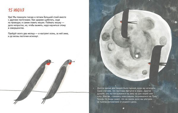 Дневник ласточки. Павел Квартальнов