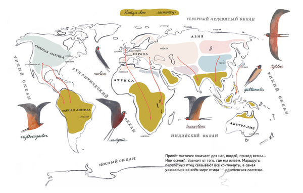 Дневник ласточки. Павел Квартальнов