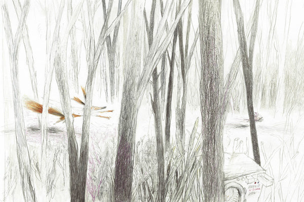 Как поросенок болел леопардозом. Бьёрн Рёрвик