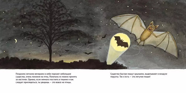 Удивительные летучие мыши. Мартин Эмтенес