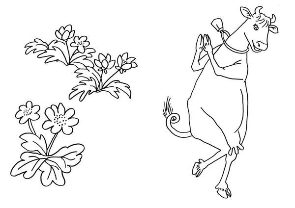 Мама Му и Кракс. Первая раскраска. Юя Висландер