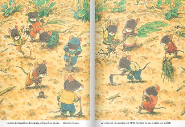 14 лесных мышей. Тыква. Кадзуо Ивамура