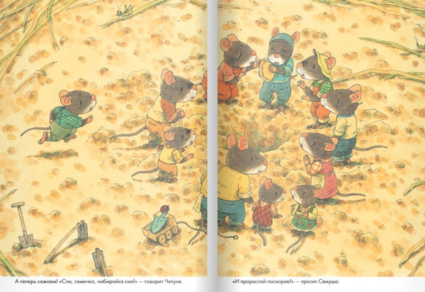 14 лесных мышей. Тыква. Кадзуо Ивамура