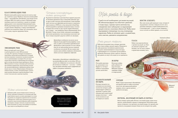 Муми-тролли на рыбалке. Туве Янссон, Алекс Харди, Сесилия Дэвидсон, Сесилия Хеккиля