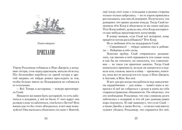 Пендервики на Чаячьем мысу. Книга 3. Джин Бёрдселл