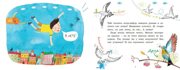 Почему птицы не падают? Илья Колмановский