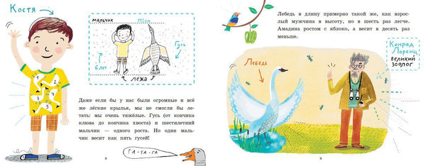 Почему птицы не падают? Илья Колмановский