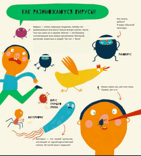 Тайная жизнь вирусов. Группа "Эльяс эдукан"