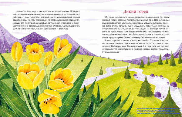 Тюльпан. Цветок султанов и мельников. Николай Назаркин