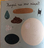 Крутые факты о яйцах. Лена Шёберг