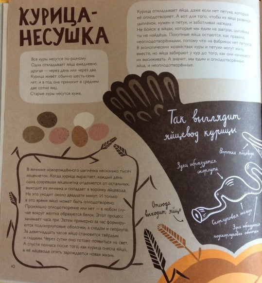 Крутые факты о яйцах. Лена Шёберг