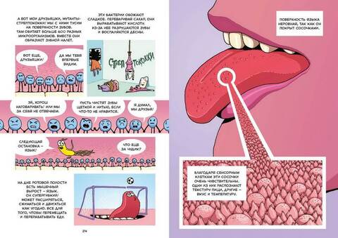 Пищеварение. Научный комикс. Джейсон Виола