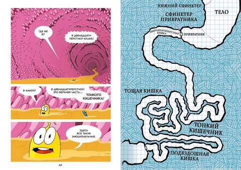 Пищеварение. Научный комикс. Джейсон Виола
